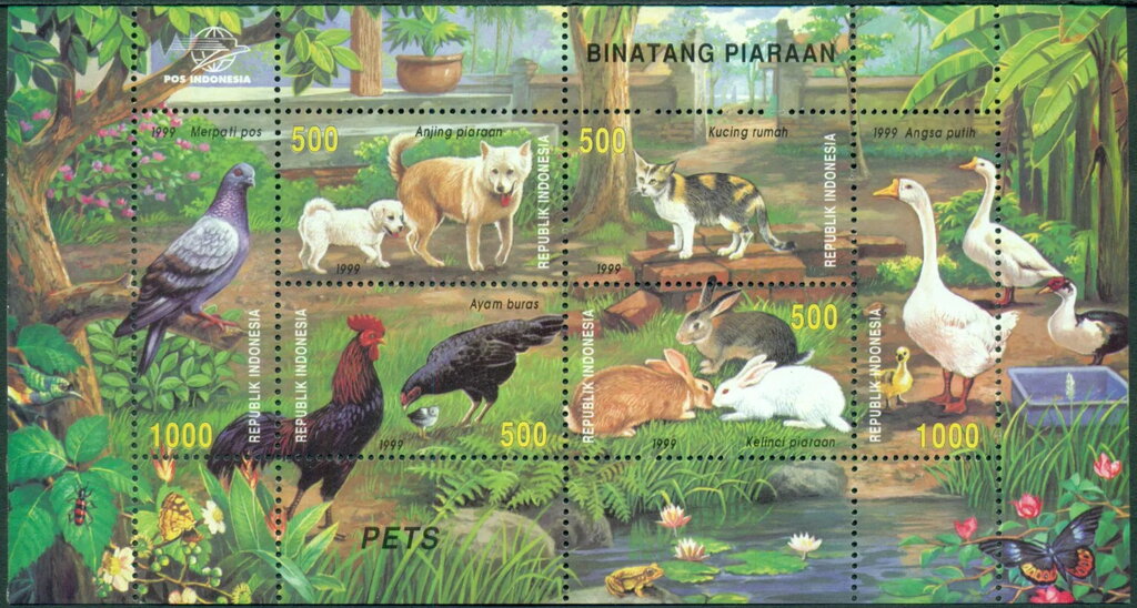 Domestic animals