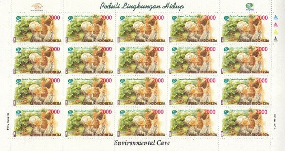 Ecophila Environmental Care