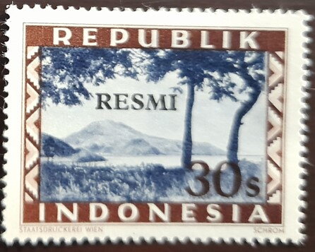 Overpint RESMI