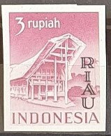 Temples and Buildings- Toraja house
