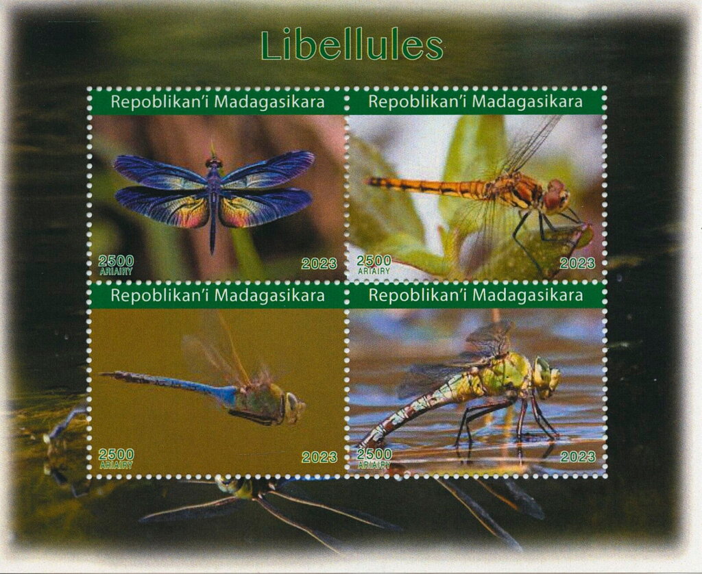 Dragonflies