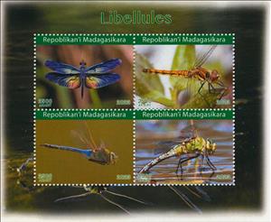 Mini Sheet, Dragonflies, Madagascar,  , Dragonflies, Insects