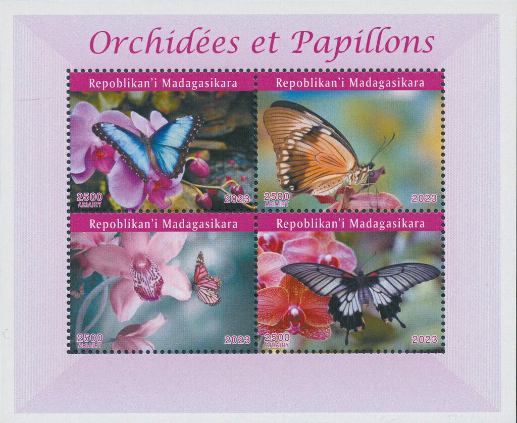 Orchids and Butterflies