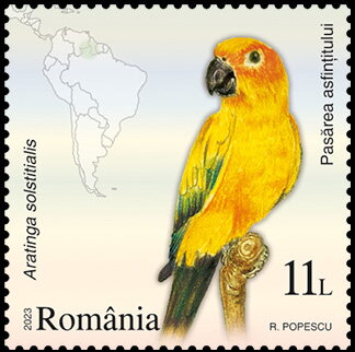 Sunset Bird ( Aratinga solstitialis)