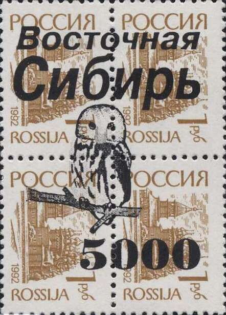 Owls
