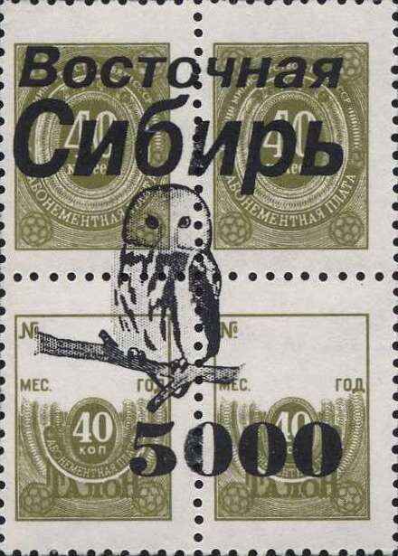 Owls