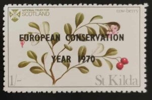 Stamp, Cow-Berry, Scotland, St. Kilda,  , Plants (Flora)