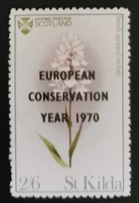 Heath Spotted Orchid