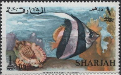 Longfin Bannerfish (Heniochus acuminatus)