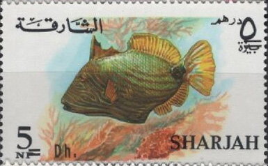 Orange-lined Triggerfish (Balistapus undulatus)