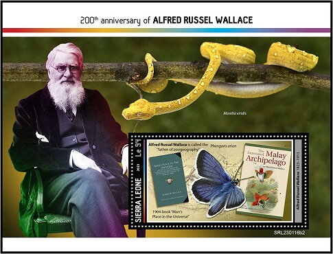 Alfred Russel Wallace (1823–1913)