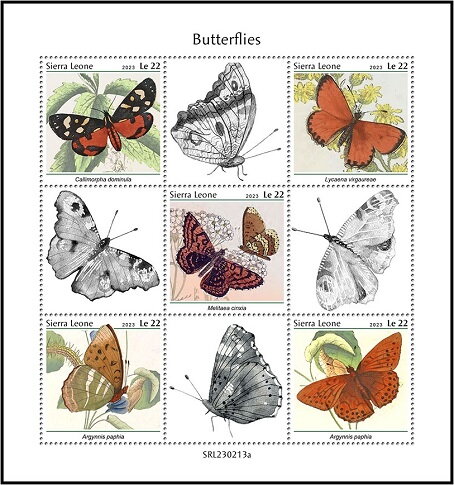Butterflies