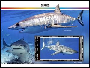 Souvenir Sheet, Carcharodon carcharias, Sierra Leone,  , Sea Life, Sharks