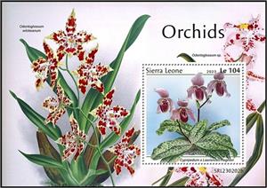 Souvenir Sheet, Cypripedium x Lawrenceo Regnieri, Sierra Leone,  , Orchids, Plants (Flora)