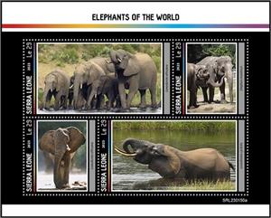 Mini Sheet, Elephants of the World, Sierra Leone,  , Animals (Fauna), Elephants