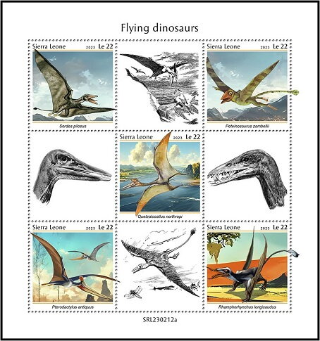 Flying Dinosaurs
