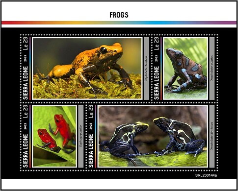 Frogs