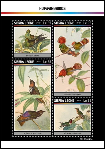 Hummingbirds