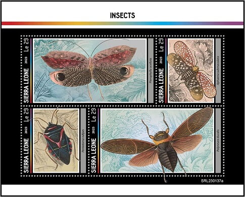 Insects
