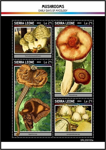 Mushrooms