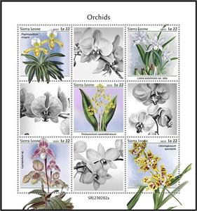 Mini Sheet, Orchids, Sierra Leone,  , Orchids, Plants (Flora)