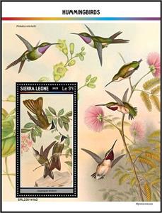Souvenir Sheet, Oxypogon lindenii, Sierra Leone,  , Birds, Hummingbirds