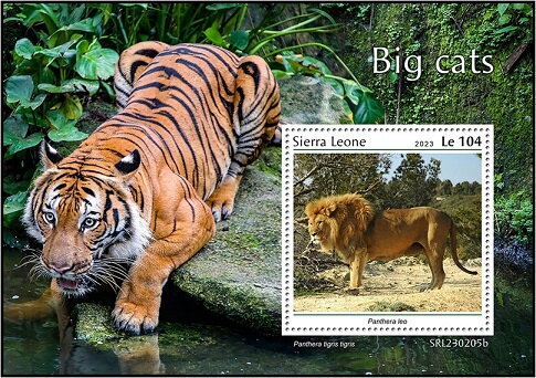 Panthera leo