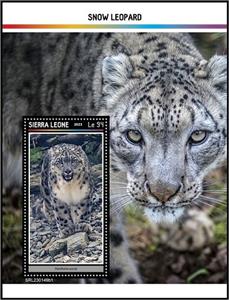 Souvenir Sheet, Panthera uncia, Sierra Leone,  , Leopards, Wild Cats
