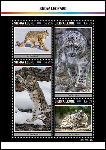 Snow Leopard