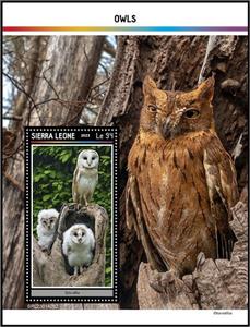 Souvenir Sheet, Tyto alba, Sierra Leone,  , Birds, Owls