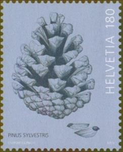 Stamp, Pine Cone, Switzerland,  , Fruits, Trees