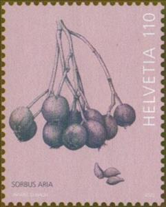 Stamp, Whitbeam Berries, Switzerland,  , Fruits, Trees