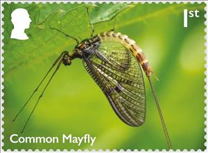 Stamp, Common Mayfly (Ephemeroptera) (Reprint), United Kingdom of Great Britain & Northern Ireland,  , Animals (Fauna), Dragonflies, Insects