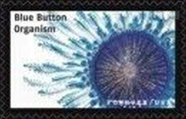 Blue Button Organism