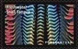 Stamp, Freshwater Snail Tongue, United States of America,  , Animals (Fauna), Molluscs, Science
