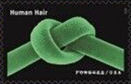 Human Hair