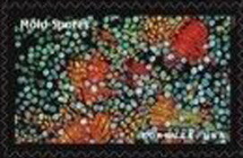Stamp, Mold Spores, United States of America,  , Mushrooms, Science
