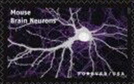 Stamp, Mouse Brain Neurons, United States of America,  , Animals (Fauna), Science