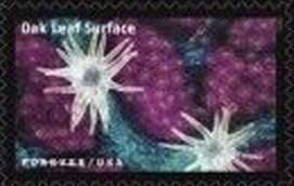 Stamp, Oak Leaf Surface, United States of America,  , Leaves, Plants (Flora), Science