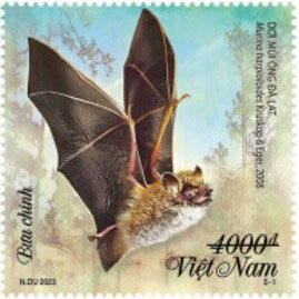 Bats of Vietnam
