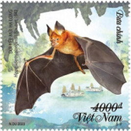 Bats of Vietnam