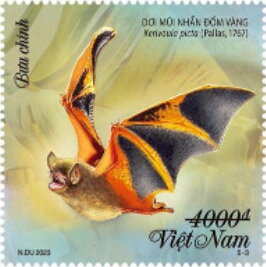 Bats of Vietnam