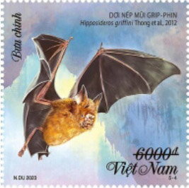 Bats of Vietnam