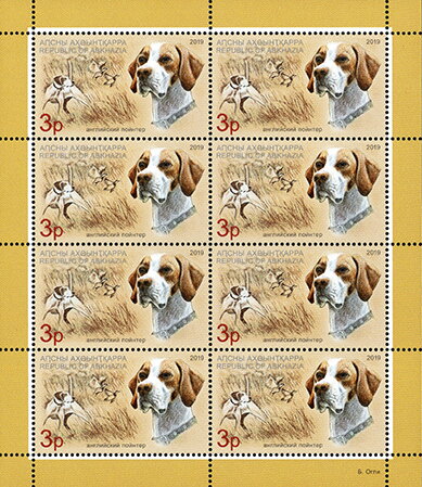 English Pointer