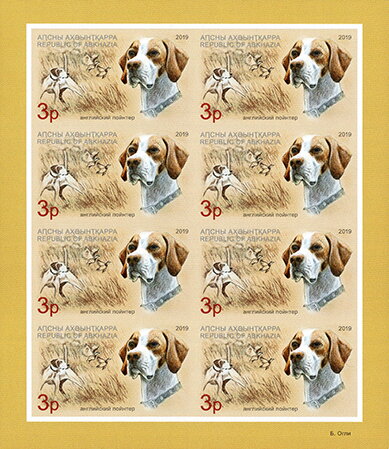 English Pointer