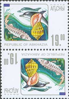 Tete-Beche, Fauna of Black sea, Abkhazia,  , Animals (Fauna), Dolphins, Fishes, Shells
