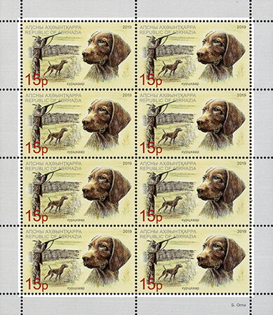 German Shorthaired Pointer