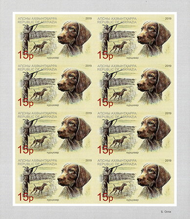 German Shorthaired Pointer