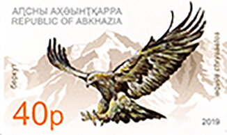 Golden Eagle (Aquila chrysaetos)