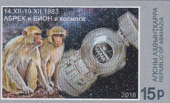 Space Monkey Abrek and Bion